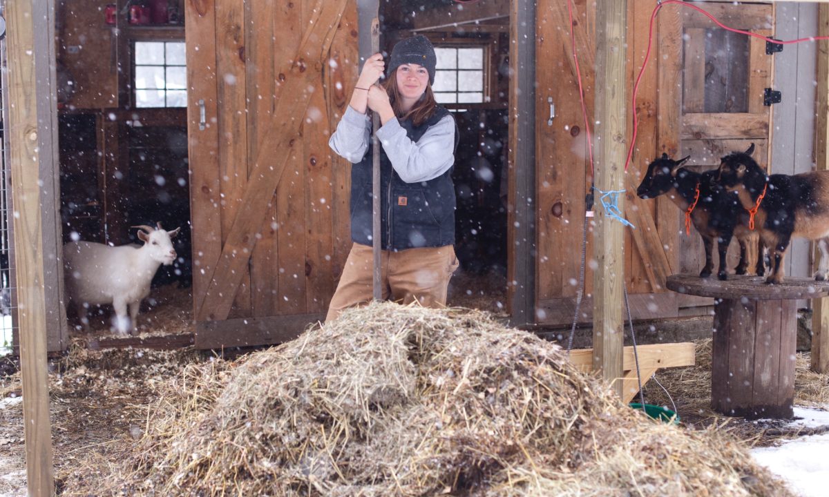 Caring For Goats in the Winter - The Modern Day Settler