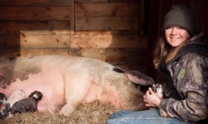 Read more about the article My First Farrowing Experience