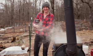 Read more about the article Boiling Sap for Maple Syrup!