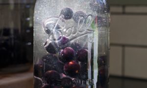 Read more about the article Old Fashioned Grape Juice