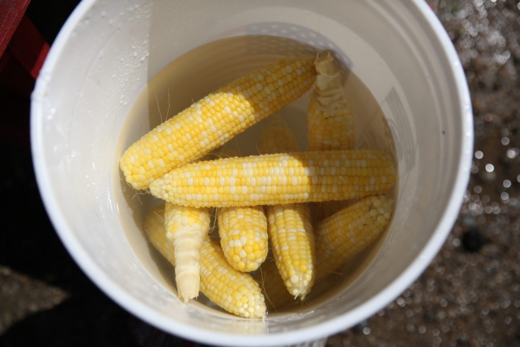 how-to-freeze-fresh-corn