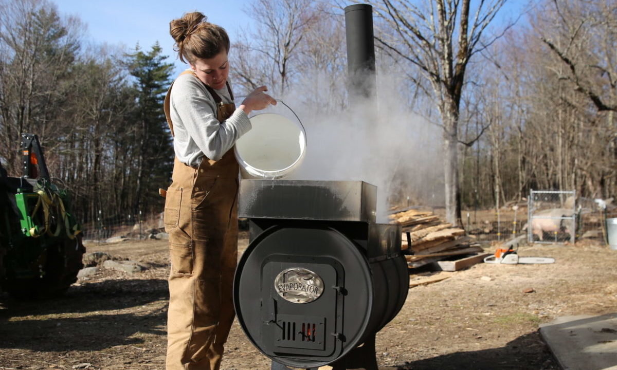 Read more about the article Making Maple Syrup More Efficiently