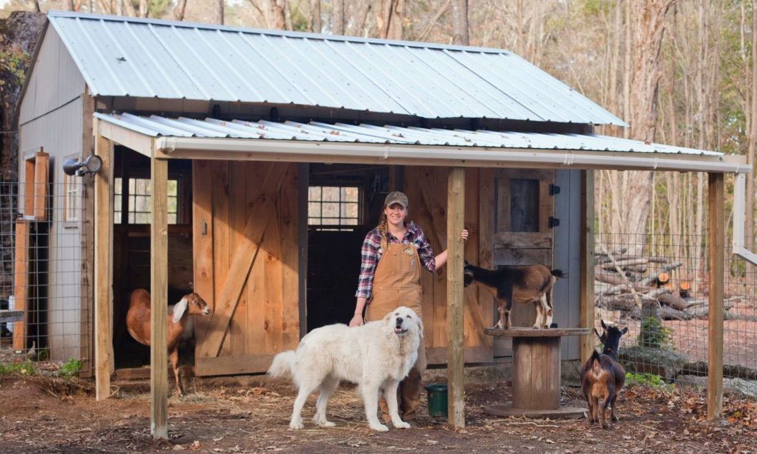 goat barns designs