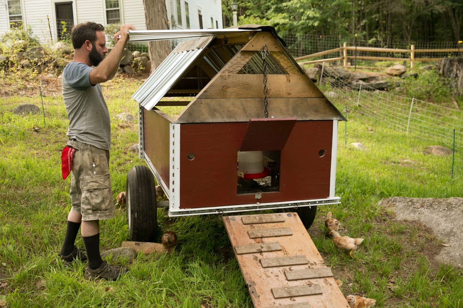 Mobile Chicken Coop – from Brooder to Butcher – The Modern Day Settler